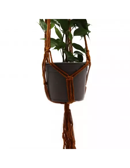 Macetero de Macramé Clásico Chocolate | Abonica