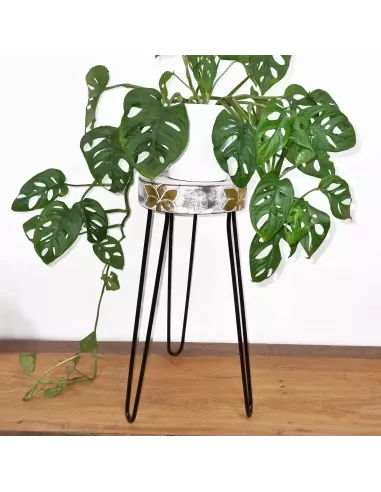 Soporte para Plantas de Madera de Albasia Varios Colores| Abonica