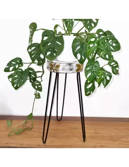Soporte para Plantas de Madera de Albasia Varios Colores| Abonica