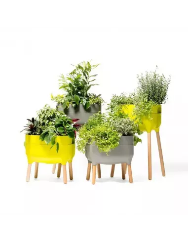 Jardinera Raíz con autorriego | Jardinera elevada de diseño | Abonica