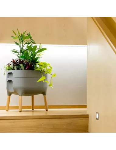 Jardinera Raíz con autorriego | Jardinera elevada de diseño | Abonica