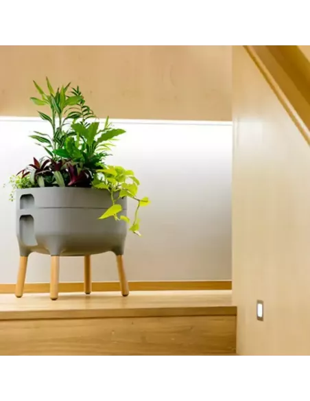 Jardinera Raíz con autorriego | Jardinera elevada de diseño | Abonica