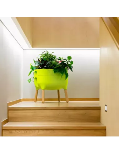 Jardinera Raíz con autorriego | Jardinera elevada de diseño | Abonica