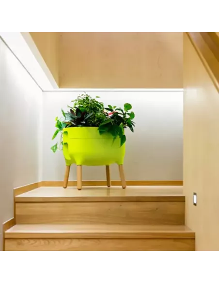 Jardinera Raíz con autorriego | Jardinera elevada de diseño | Abonica