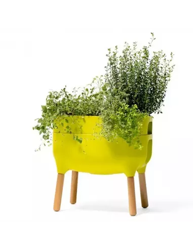 Jardinera Raíz con autorriego | Jardinera elevada de diseño | Abonica