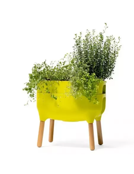 Jardinera Raíz con autorriego | Jardinera elevada de diseño | Abonica