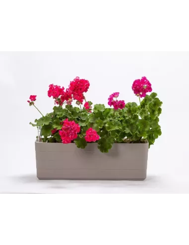 Jardinera Edén con autorriego | Jardinera para interior y exterior | Abonica