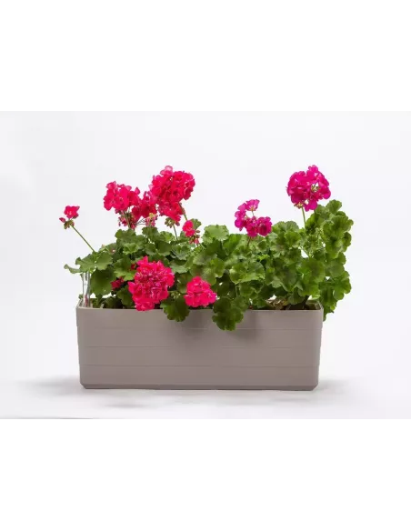 Jardinera Edén con autorriego | Jardinera para interior y exterior | Abonica
