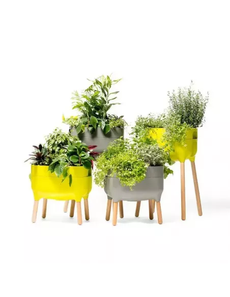 Jardinera Raíz Alta con autorriego | Jardinera elevada de diseño | Abonica