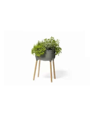 Jardinera Raíz Alta con autorriego | Jardinera elevada de diseño | Abonica