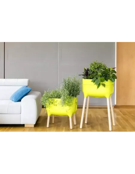 Jardinera Raíz Alta con autorriego | Jardinera elevada de diseño | Abonica