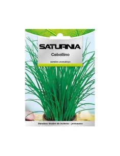 Comprar semillas aromáticas de cebollino en tienda online abonica
