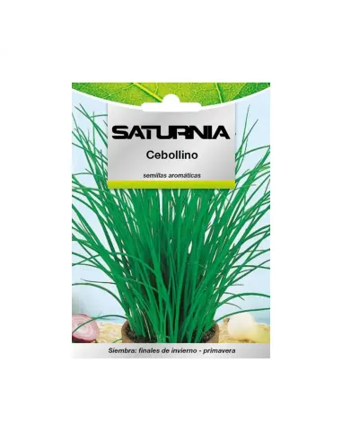 Comprar semillas aromáticas de cebollino en tienda online abonica