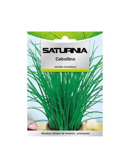 Comprar semillas aromáticas de cebollino en tienda online abonica