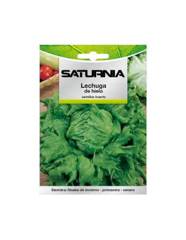 Comprar semillas de lechuga reina de hielo en tienda online abonica