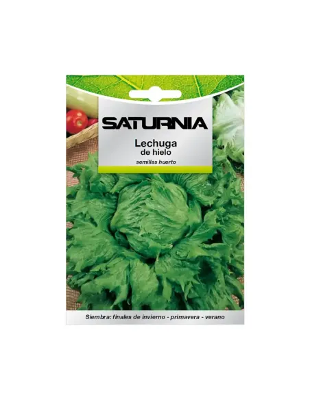 Comprar semillas de lechuga reina de hielo en tienda online abonica