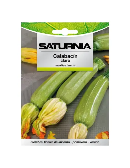 Comprar semillas de calabacín claro en tienda online abonica