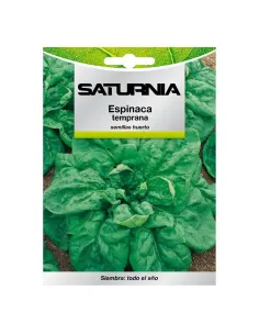 Comprar semillas de espinaca en tienda online abonica