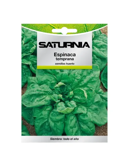Comprar semillas de espinaca en tienda online abonica