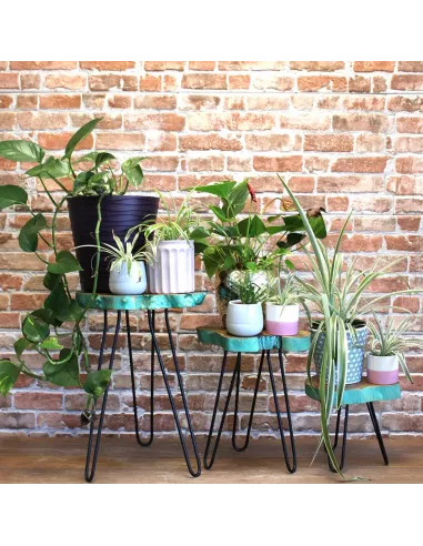 Juego 3 maceteros distintos madera con plantas