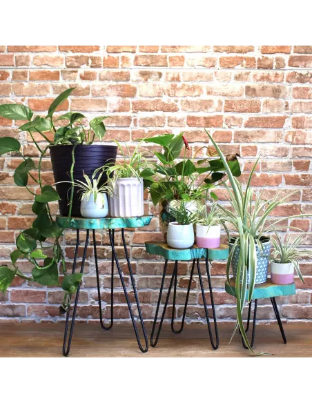 Juego 3 maceteros distintos madera con plantas