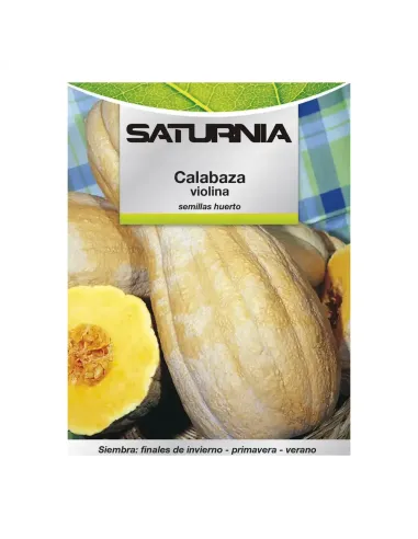 Comprar semillas de calabaza violina en tienda online abonica
