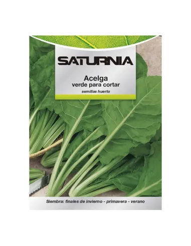 Comprar semillas de acelga verde en tienda online abonica