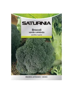 Comprar semillas de acelga verde en tienda online abonica
