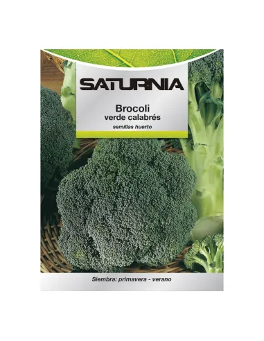 Comprar semillas de acelga verde en tienda online abonica