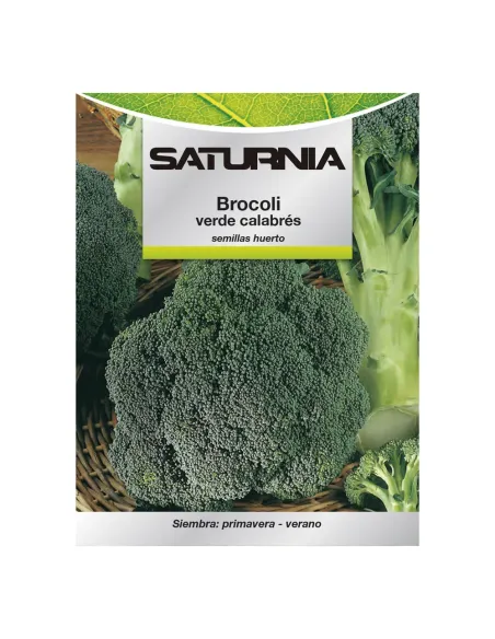 Comprar semillas de acelga verde en tienda online abonica