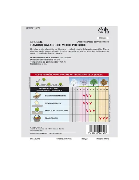 Comprar semillas de acelga verde en tienda abonica