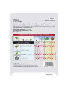 Comprar semillas de acelga verde en tienda online abonica 2