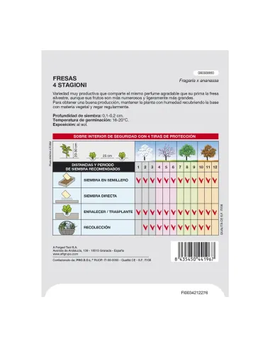 Comprar semillas de acelga verde en tienda abonica