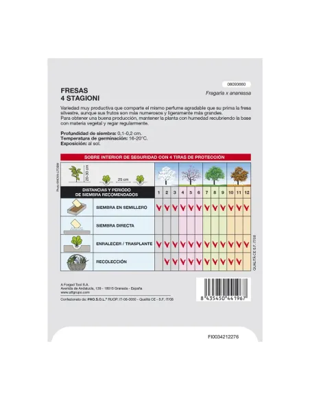 Comprar semillas de acelga verde en tienda abonica