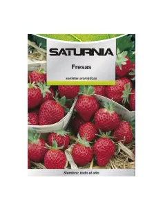 Comprar semillas de acelga verde en tienda online abonica
