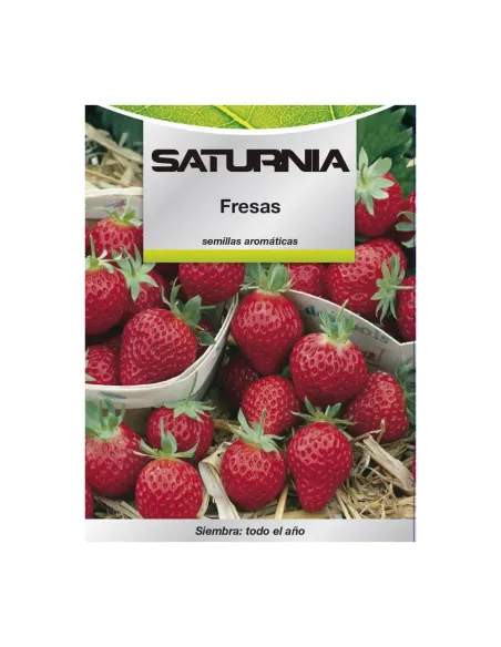Comprar semillas de acelga verde en tienda online abonica
