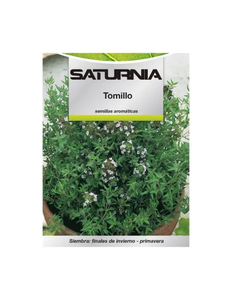 Comprar semillas de tomillo en tienda online abonica