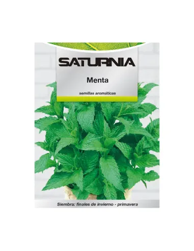 Comprar semillas de menta en tienda online abonica