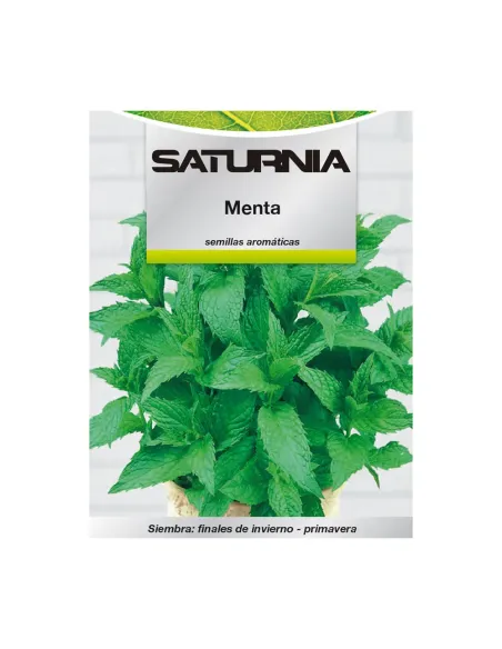 Comprar semillas de menta en tienda online abonica