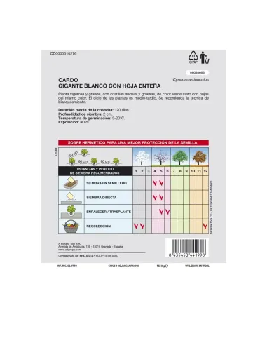 Comprar semillas de cardo blanco en tienda abonica