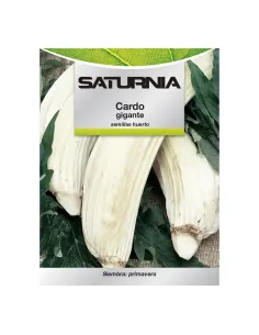 Comprar semillas de cardo blanco en tienda online abonica