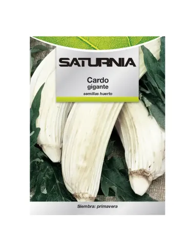 Comprar semillas de cardo blanco en tienda online abonica