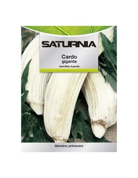 Comprar semillas de cardo blanco en tienda online abonica