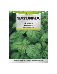 Comprar semillas de albahaca napolitana en tienda online abonica