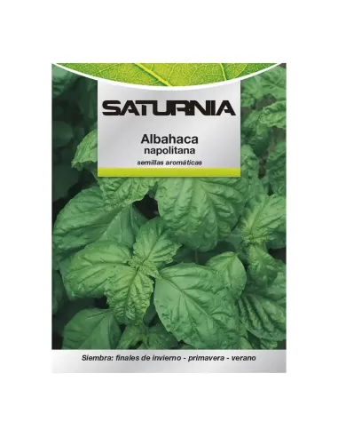 Comprar semillas de albahaca napolitana en tienda online abonica