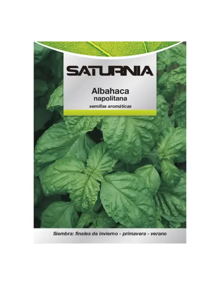 Comprar semillas de albahaca napolitana en tienda online abonica