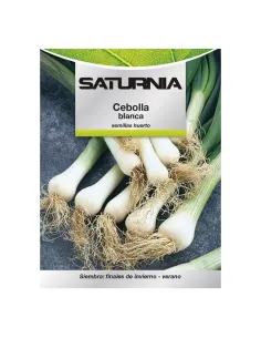 Comprar semillas de cebolla blanca en tienda online abonica