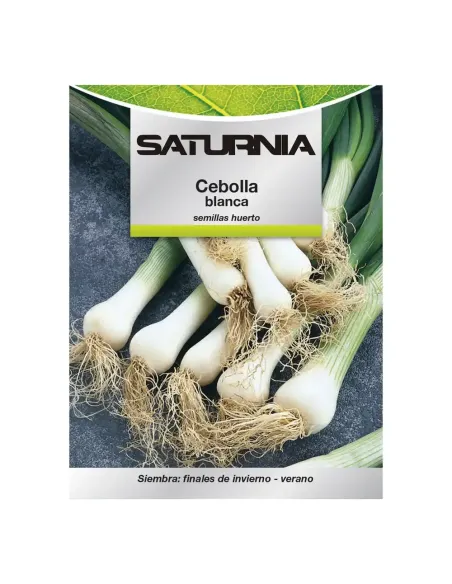 Comprar semillas de cebolla blanca en tienda online abonica