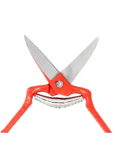 comprar tijeras vendimiar forjada recta 1 mano 19cm en tienda online abonica 2