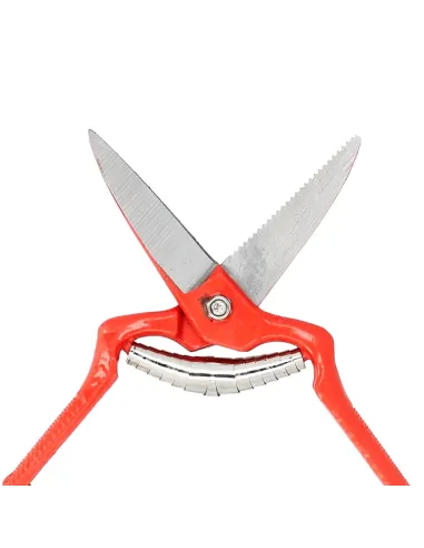 comprar tijeras vendimiar forjada recta 1 mano 19cm en tienda abonica